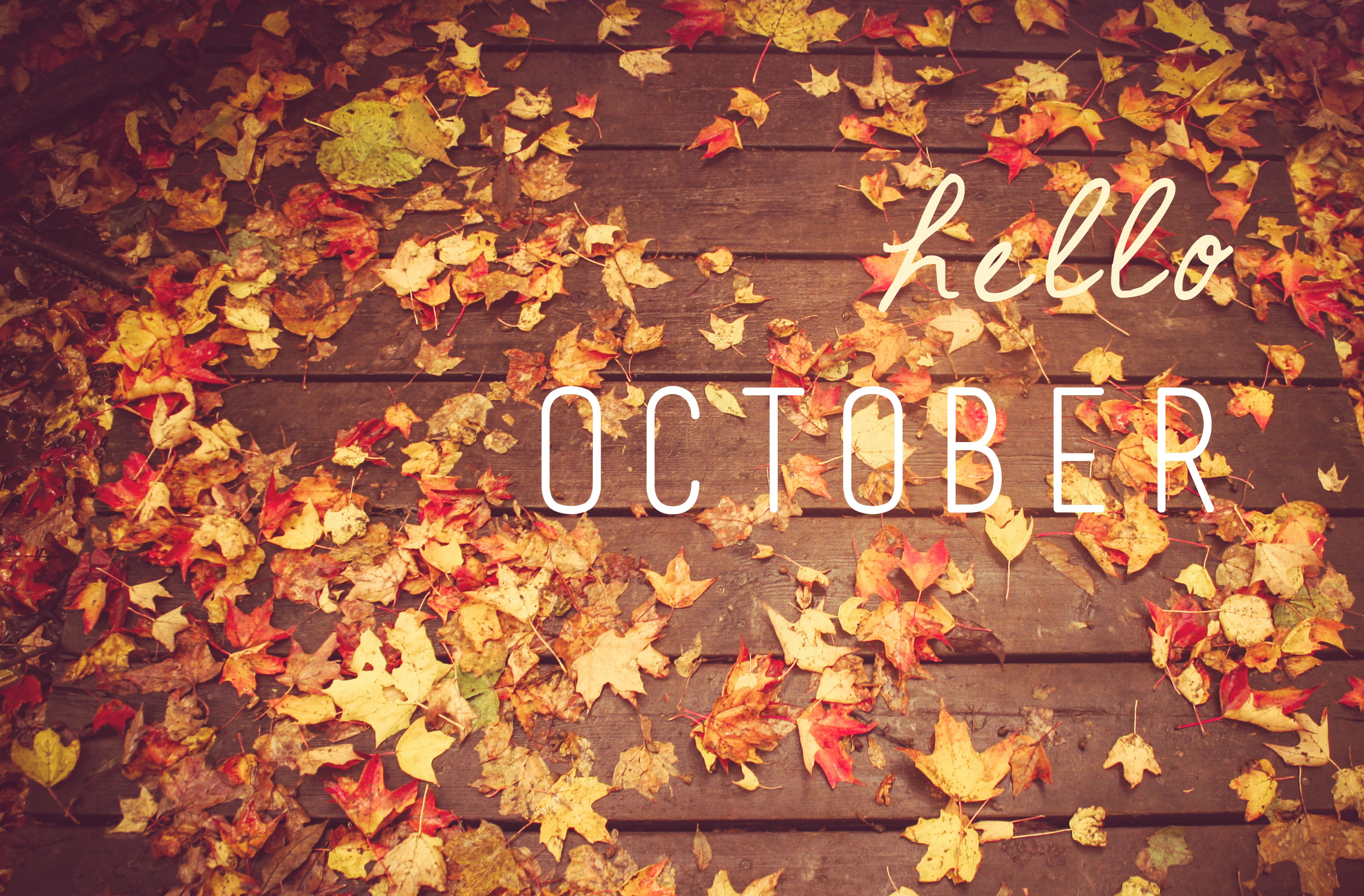 Image result for hello october images